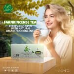 440566602 1873436233115950 9002771249354182919 n