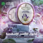 صابونة اللافندر الاسفنجية F COSMATIC