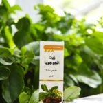 aa97efed 1bf4 4c42 bfc0 702fd2d1a2e4