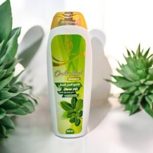 صورة واتساب بتاريخ 2025 03 12 في 18.20.25 eba0b05c