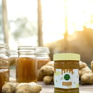 Honey with ginger and mint 500 grams
