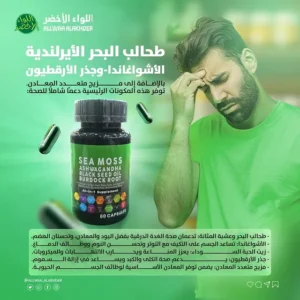 كبسولات طحالب البحر الإيرلندية مع الأشواغاندا وجذر الأرقطيون Sea Moss Complex