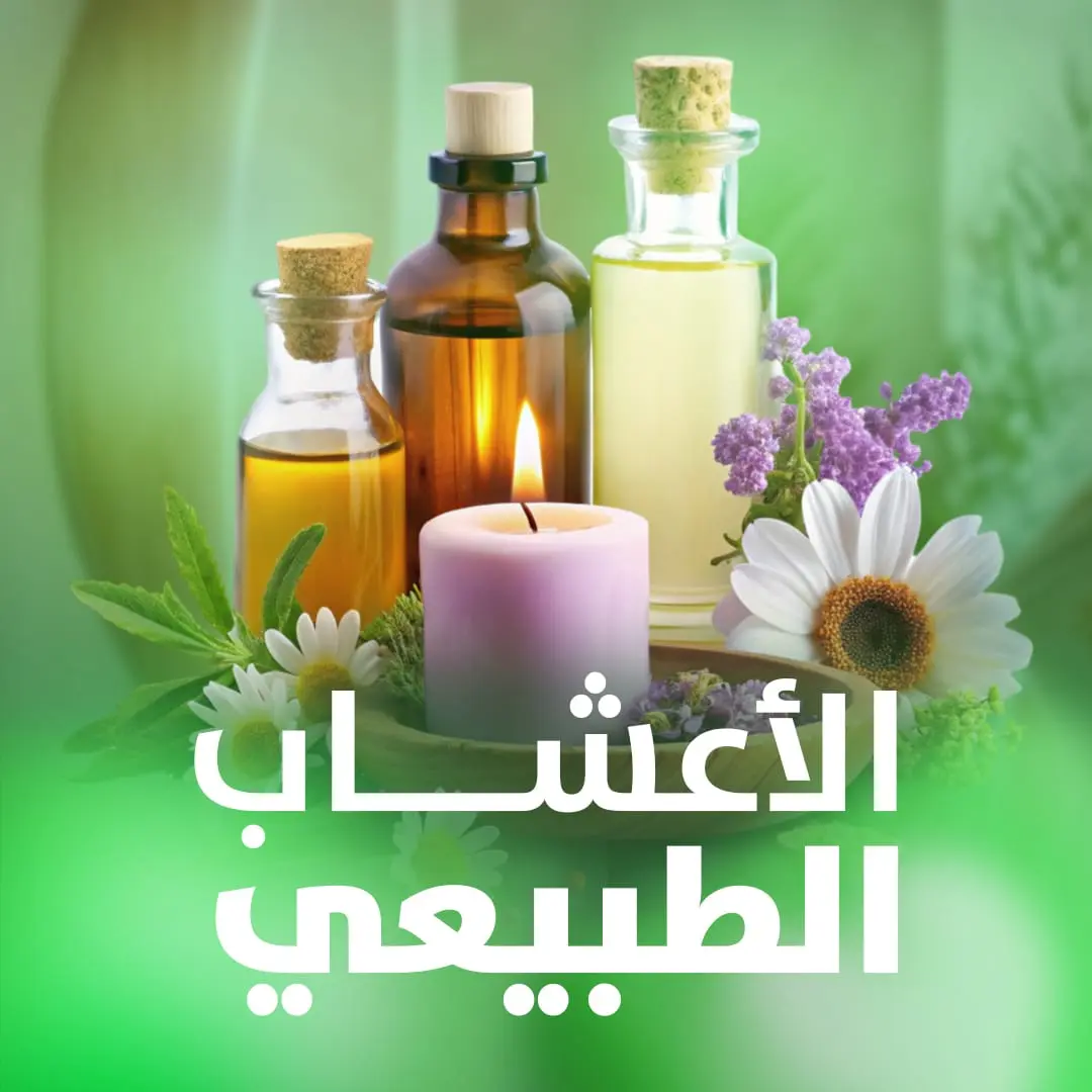 الرئيسية 6 الأعشاب الطبيعية
